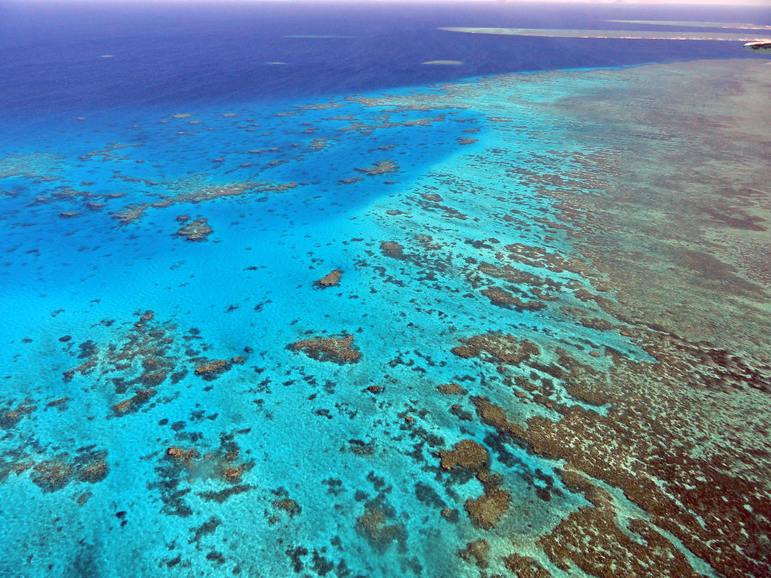 Great Barrier Reef Marine Park, Queensland, Australia без смс
