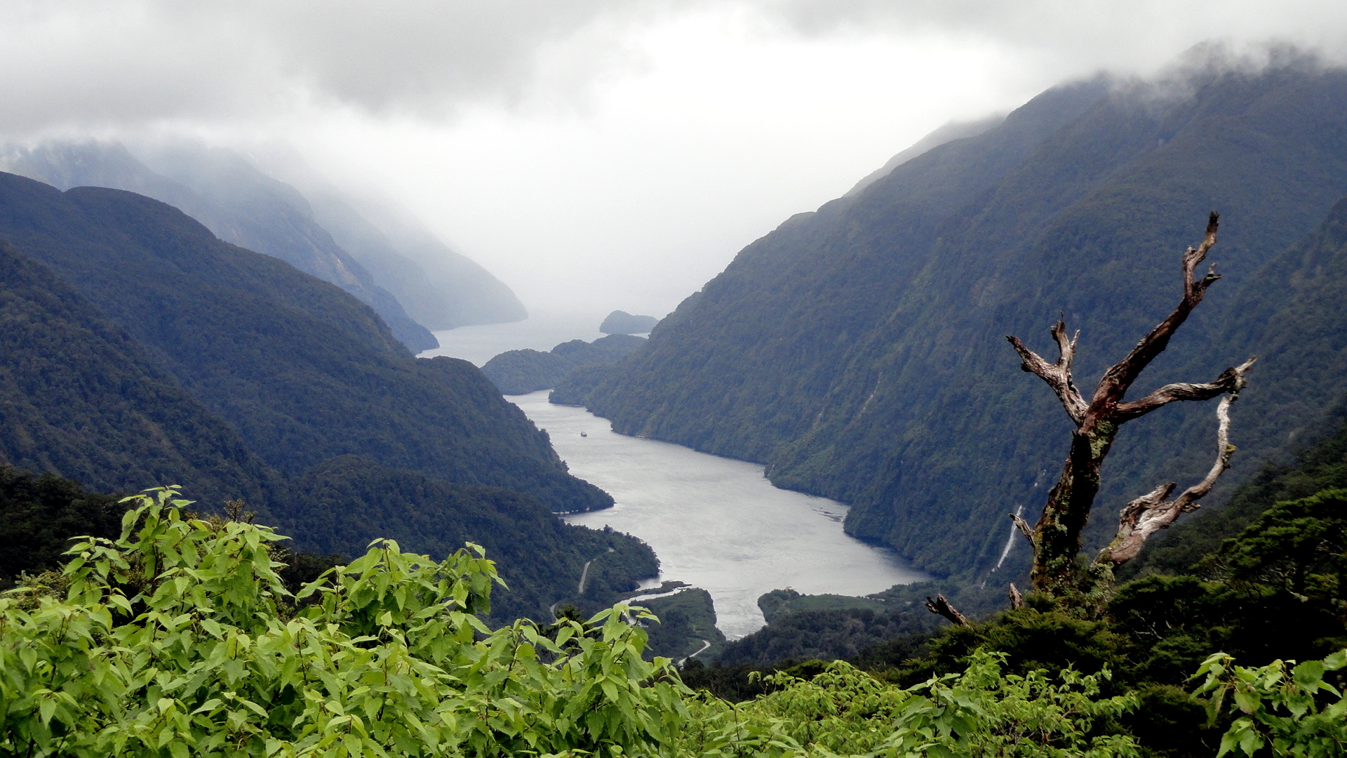 Top of Doubtful Sound