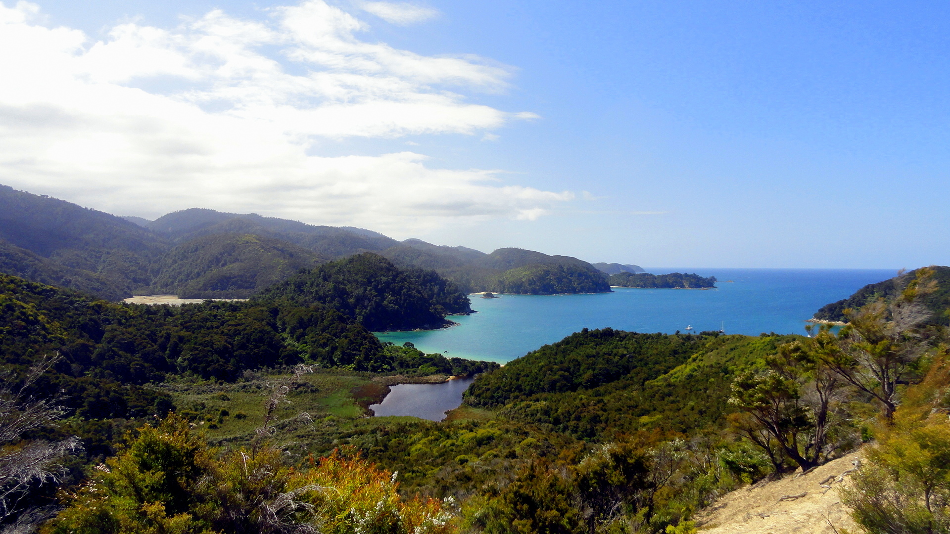 Tasman Coast View 2
