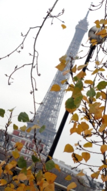 Eiffel Tower w Autumn Leaves