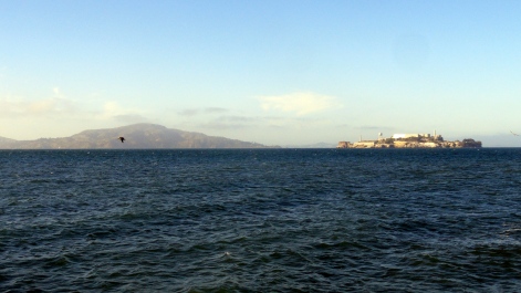 Angel & Alcatraz from Marina