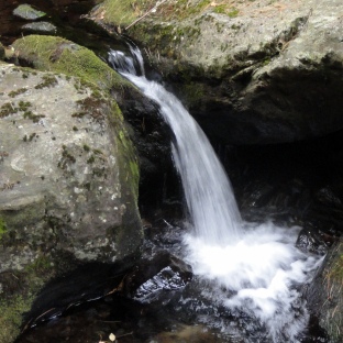 Sages Ravine Waterfall