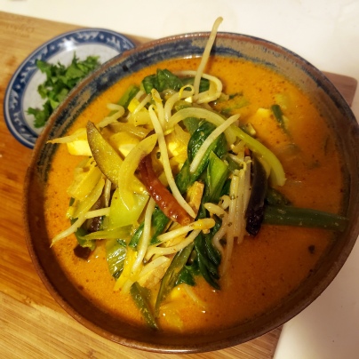 Yummy Soup Noodles - Coco curry
