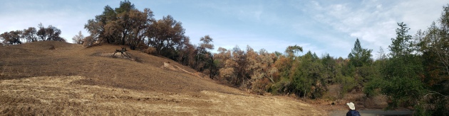20201121 Sugarloaf - Burned Hillside Pano