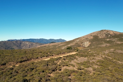 Mt Tam from Miwok Trail