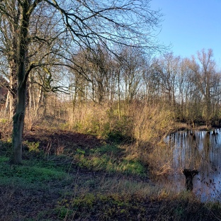 20211225 Nederhemert Canal